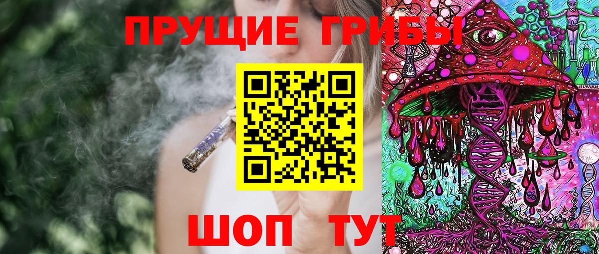 Бузулук  Псилоцибиновые грибы MAGIC MUSHROOMS  Вход с VPN 